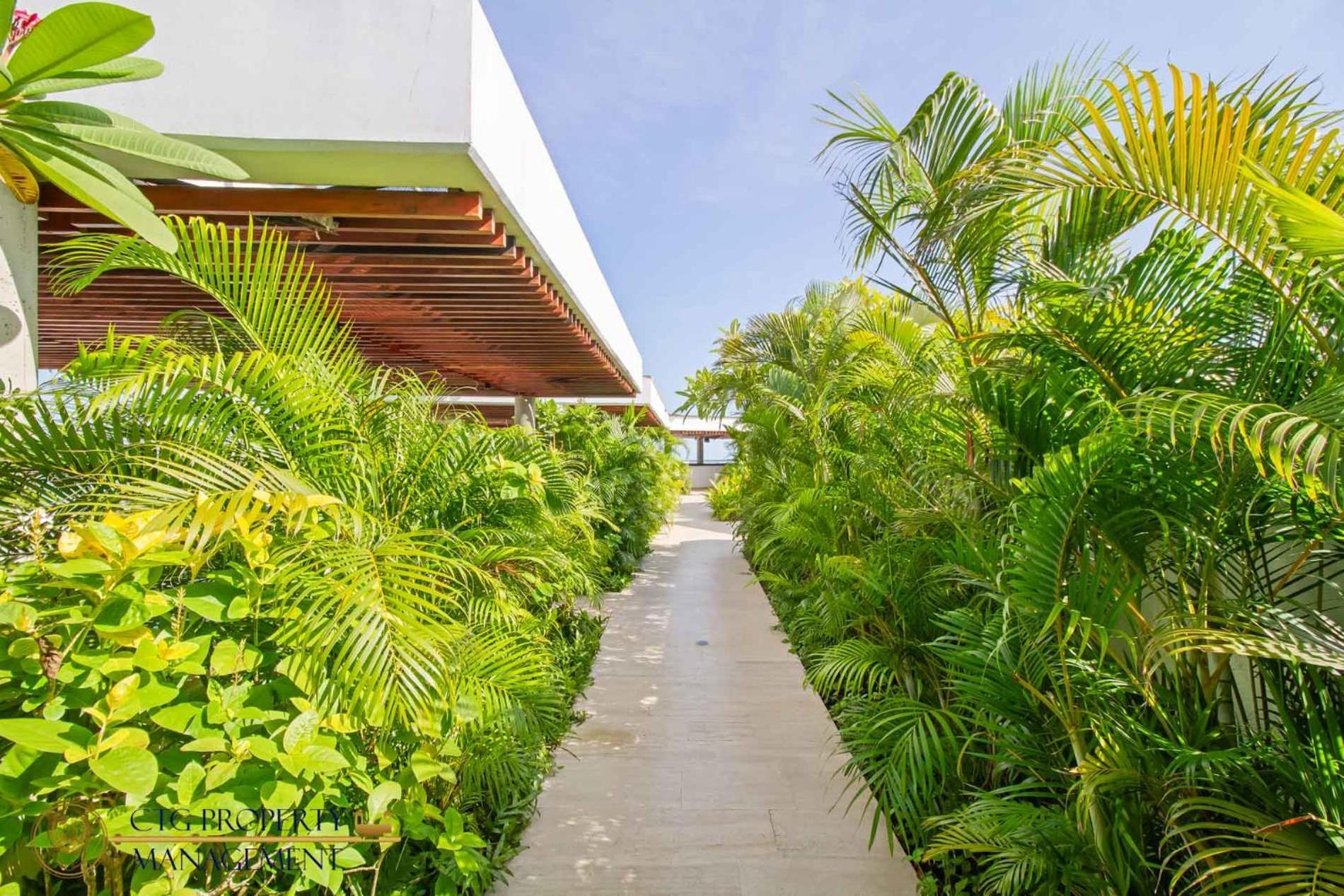 Martinique Cartagena - Apartamentos A Corta Caminata De Playa Azul Εξωτερικό φωτογραφία